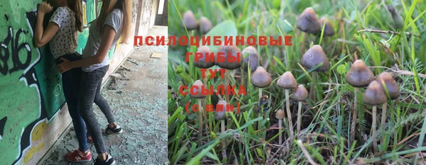 гидропоника Вязники