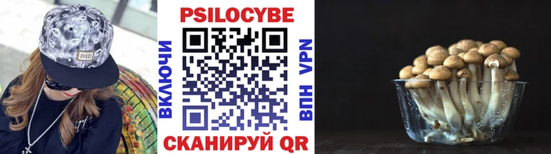 Галлюциногенные грибы Psilocybe Уржум